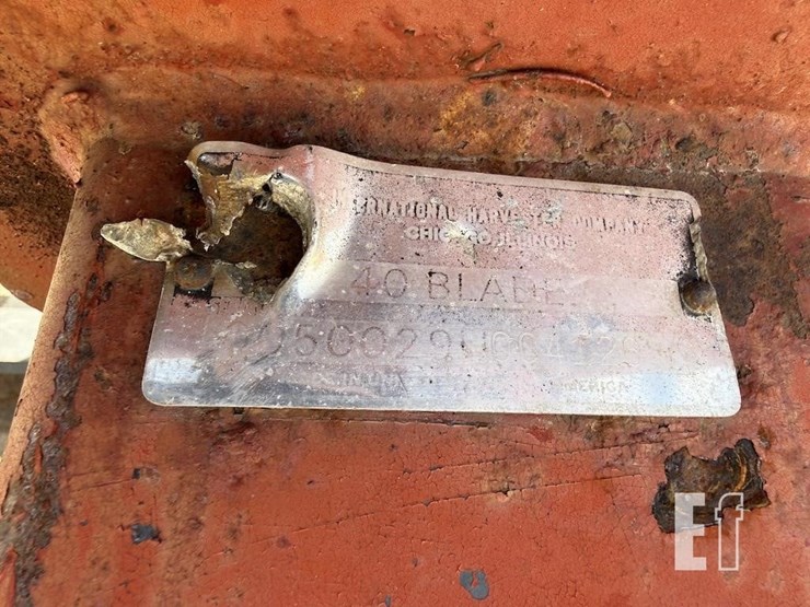 international-40-image-5