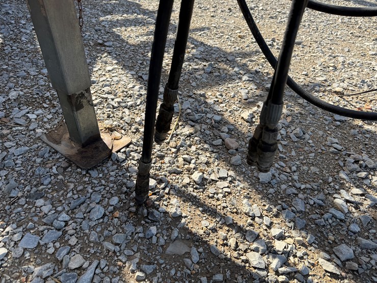 sunflower-6630-30-image-57