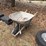 wheel-barrow-image-3