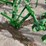 john-deere-one-row-mounted-cultivator-image-8