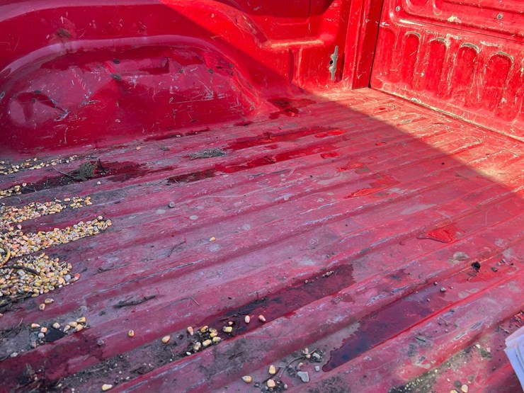 2003-dodge-ram-1500-image-8