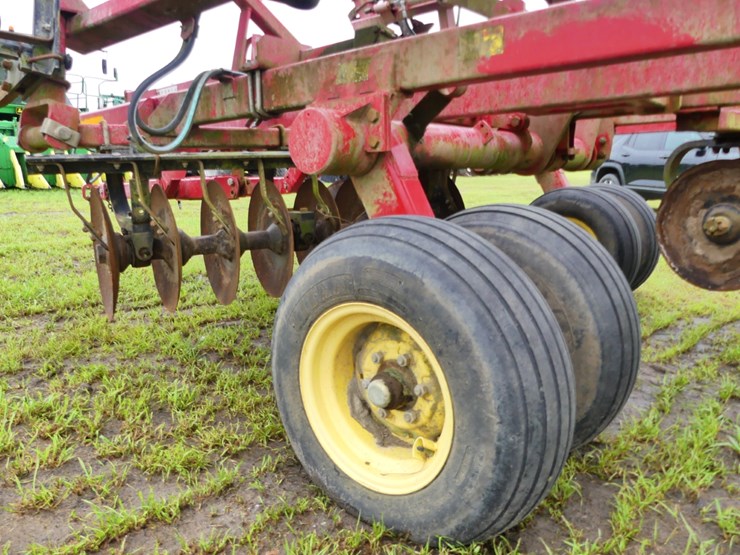 sunflower-1234-image-7