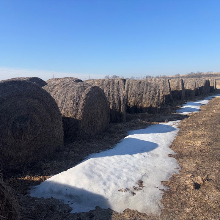 #1074 • (78) Round Bales of 1st and 2nd Crop Grass/Alfalfa (Independence, WI)