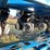 kinze-3660-image-10