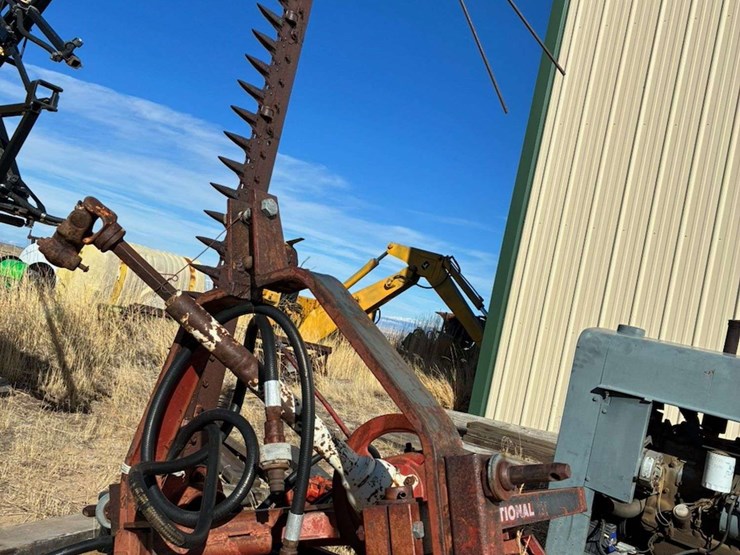 international-230-image-1