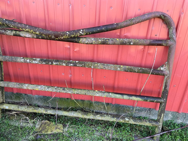 #6061-•-(4)-steel-gates-image-4