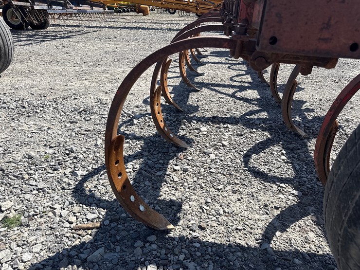 international-15-image-12