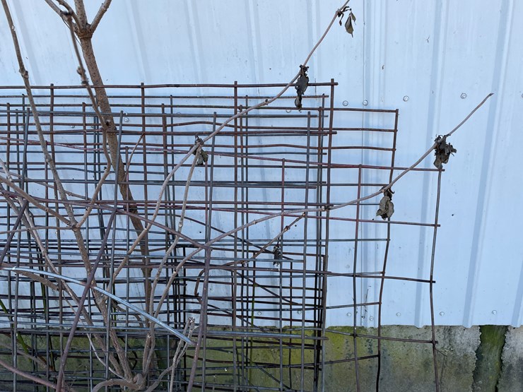 #6063-•-cattle-panels-image-6