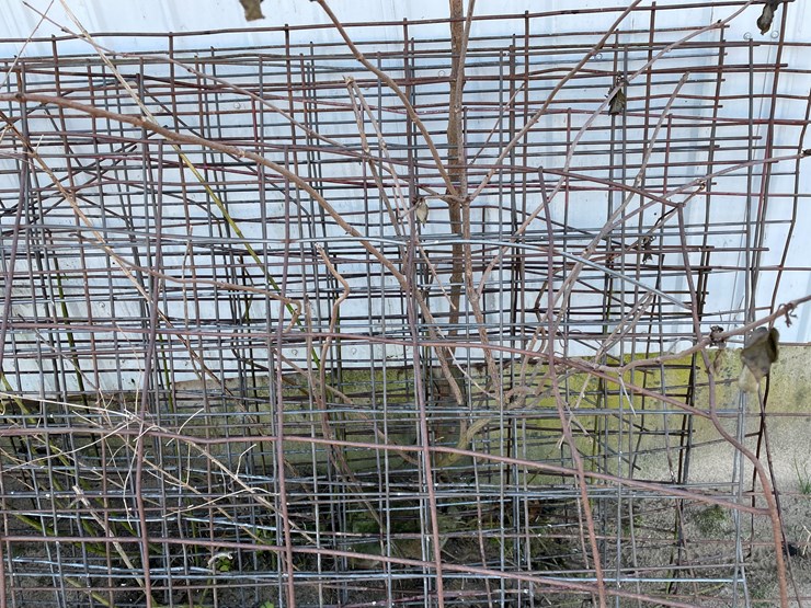 #6063-•-cattle-panels-image-7