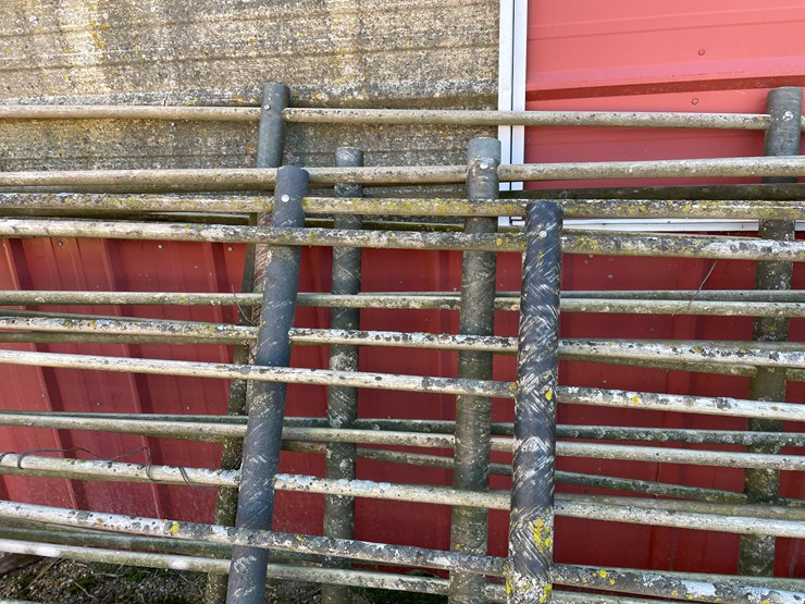#6048-•-(6)-12'-corral-gates-image-11