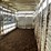 #6019-•-2014-kiefer-aluminum-cattle-trailer-(wi-title-in-delay)-image-14