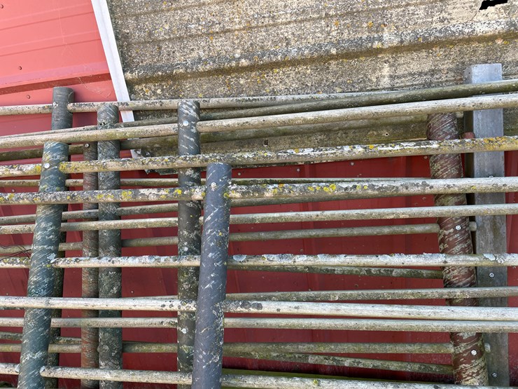 #6048-•-(6)-12'-corral-gates-image-6