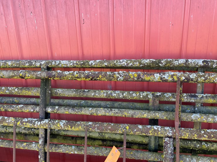 #6061-•-(4)-steel-gates-image-9