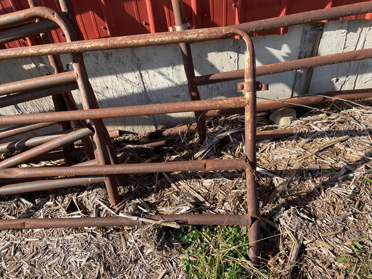 #6062-•-used-gates-image-11