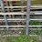 #6048-•-(6)-12'-corral-gates-image-8