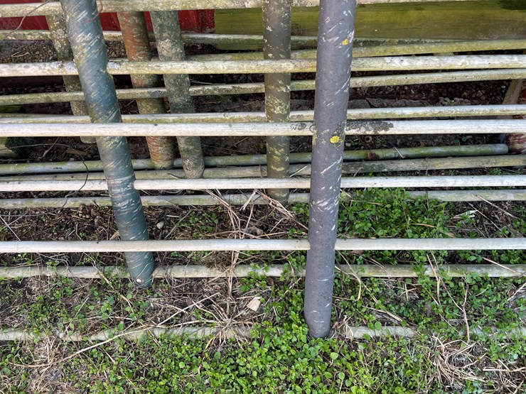 #6048-•-(6)-12'-corral-gates-image-8