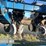 kinze-3660-image-9