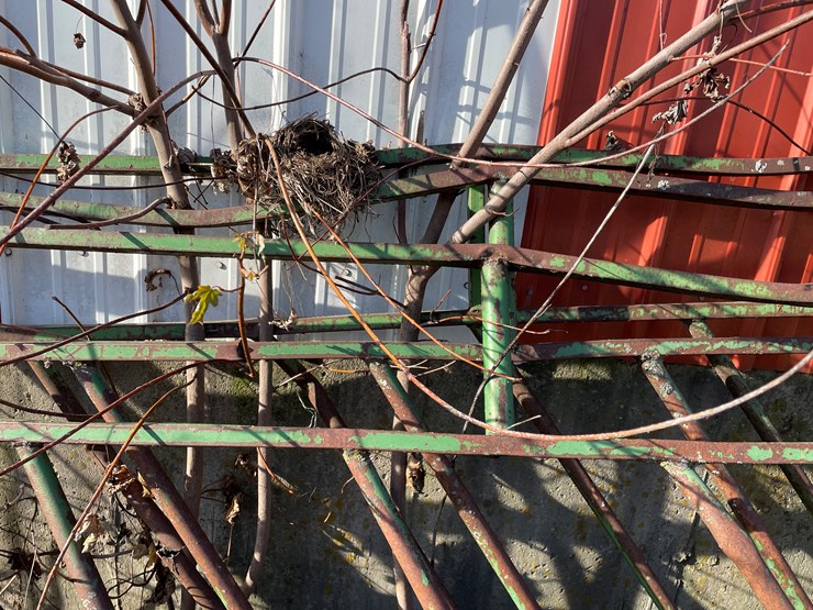 #6047-•-(3)-feeding-gates-image-8