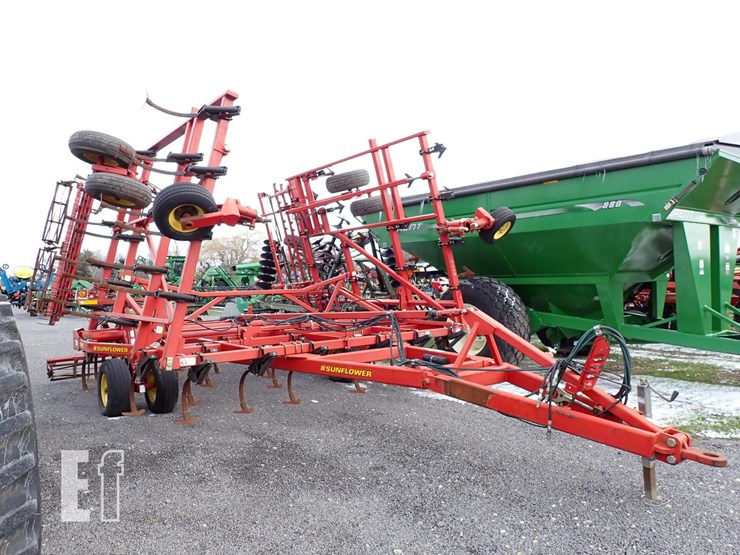 sunflower-5035-30-image-3