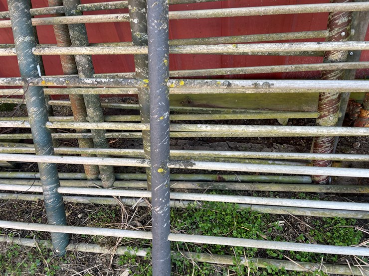 #6048-•-(6)-12'-corral-gates-image-7