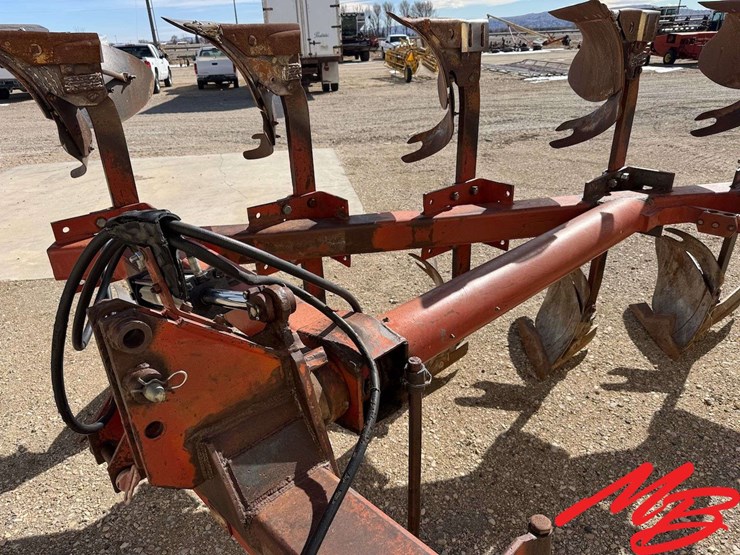 international-155-image-6