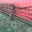 #6061-•-(4)-steel-gates-image-3
