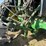 john-deere-4450-image-32