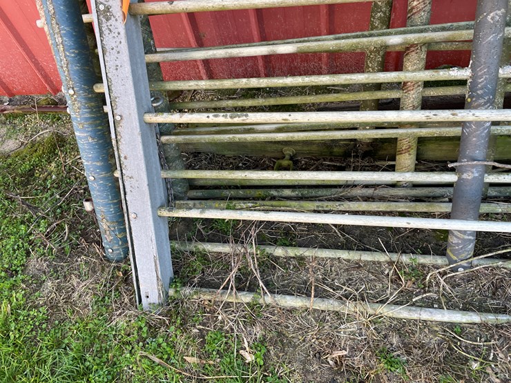 #6048-•-(6)-12'-corral-gates-image-13