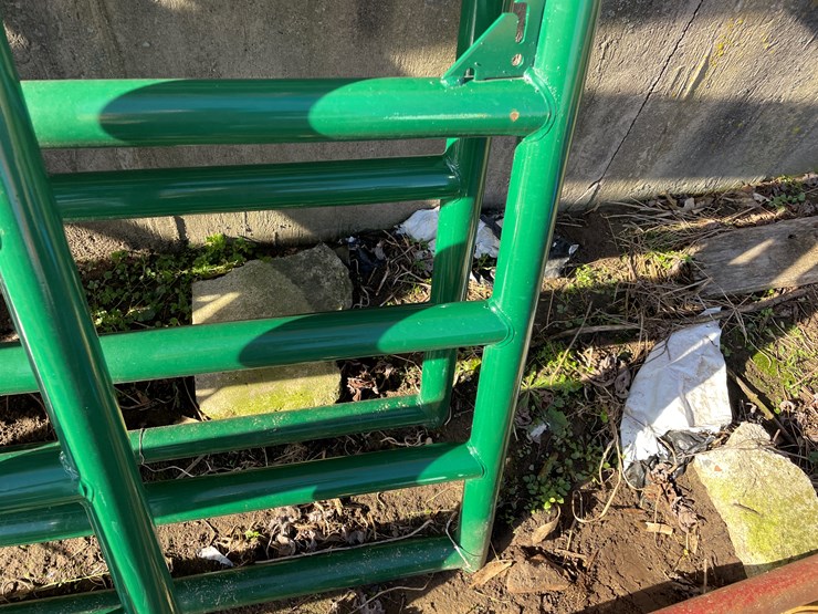 #6046-•-(4)-12'-tarter-gates-image-22