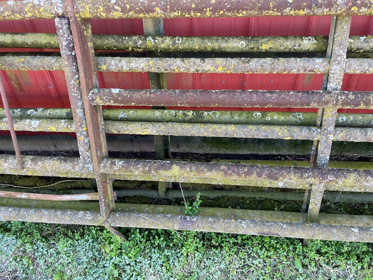 #6061-•-(4)-steel-gates-image-7