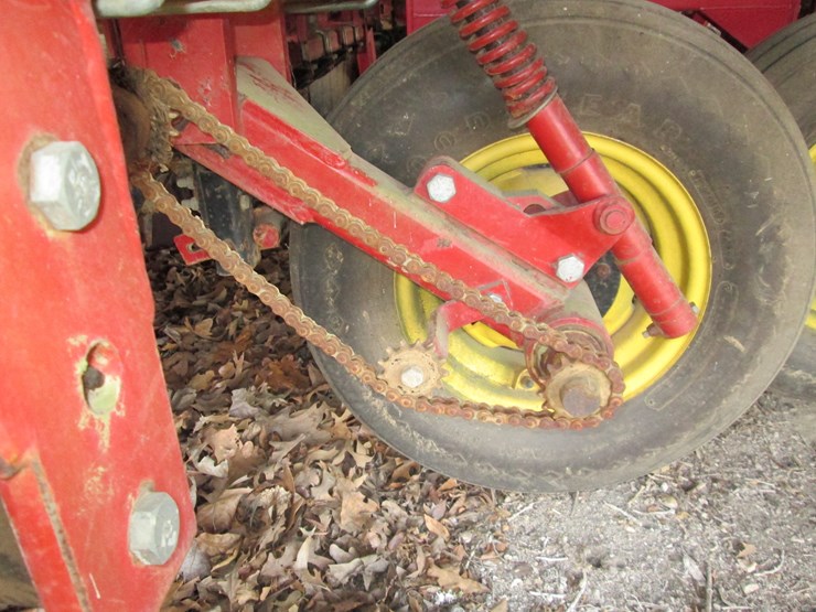 sunflower-9431-image-13