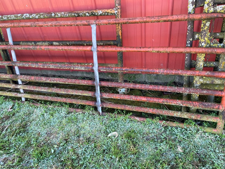 #6060-•-(3)-steel-gates-image-5