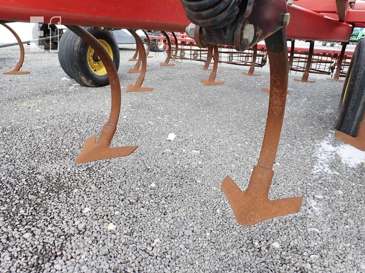 sunflower-5035-30-image-15