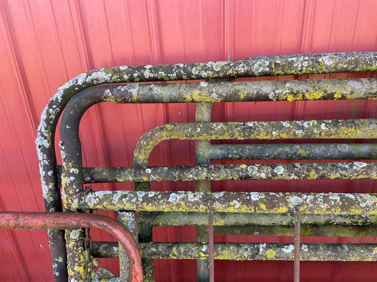 #6061-•-(4)-steel-gates-image-13