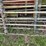 #6048-•-(6)-12'-corral-gates-image-9