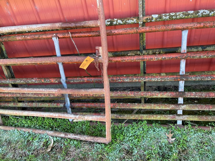 #6060-•-(3)-steel-gates-image-7