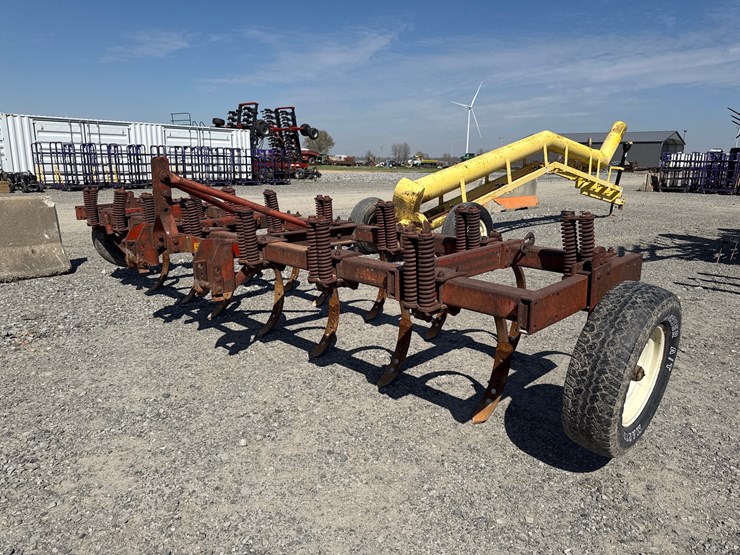 international-15-image-1