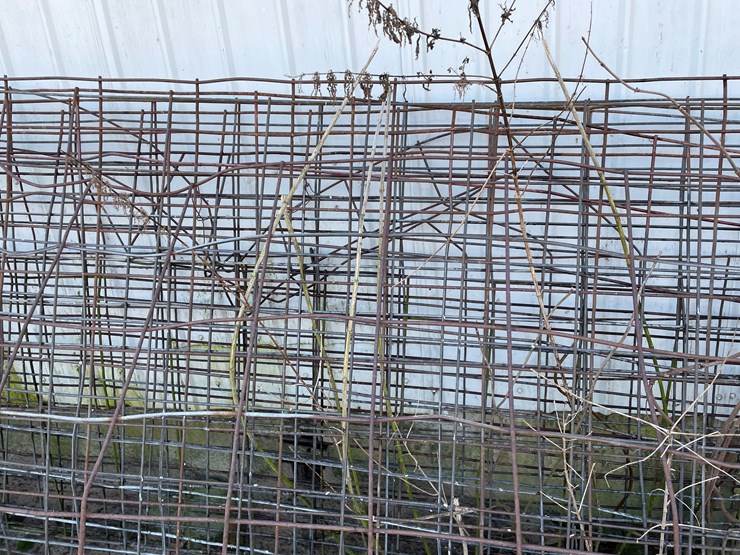 #6063-•-cattle-panels-image-9