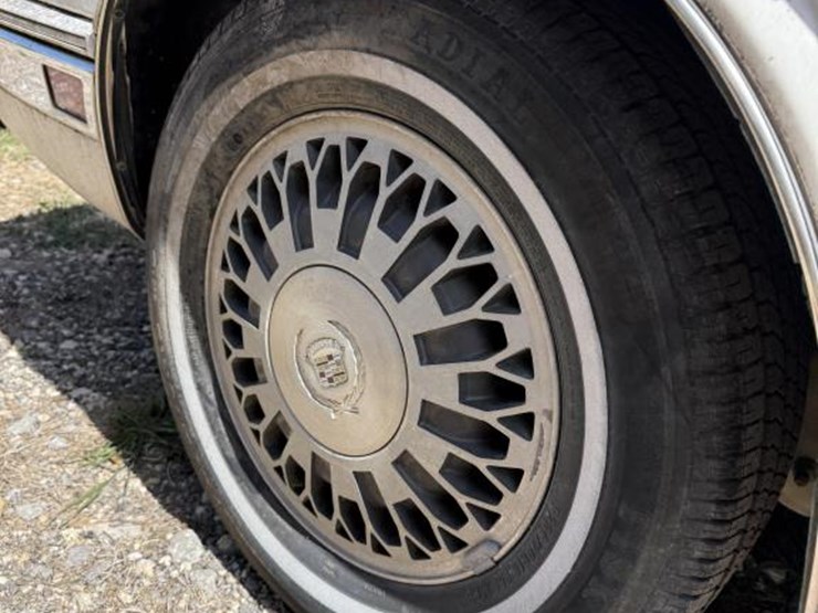 1991-unknown-unknown-image-7