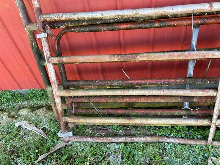 #6060-•-(3)-steel-gates-image-11