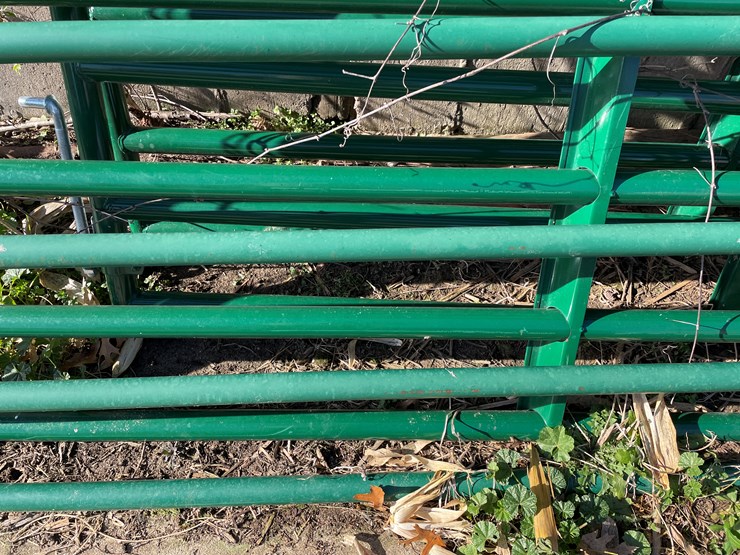 #6046-•-(4)-12'-tarter-gates-image-12