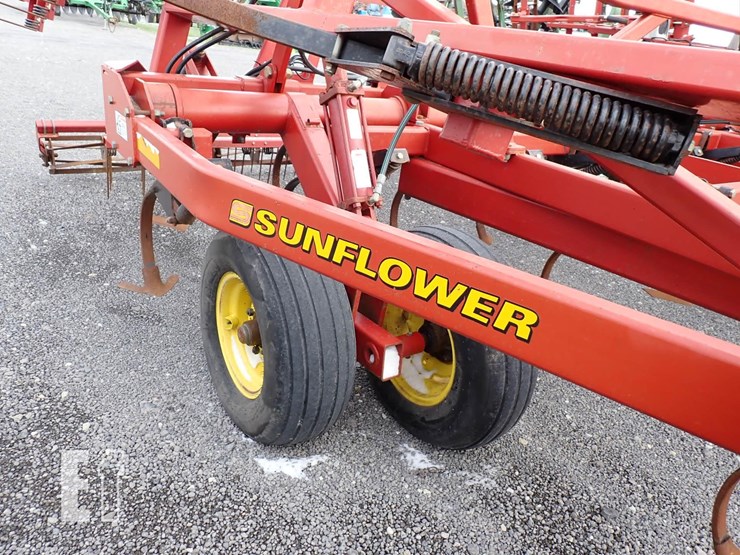 sunflower-5035-30-image-8