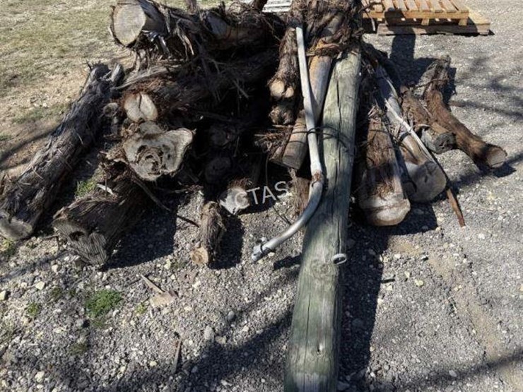 #127-•-bundle-of-tree-limbs-&-electrical-pole-image-2