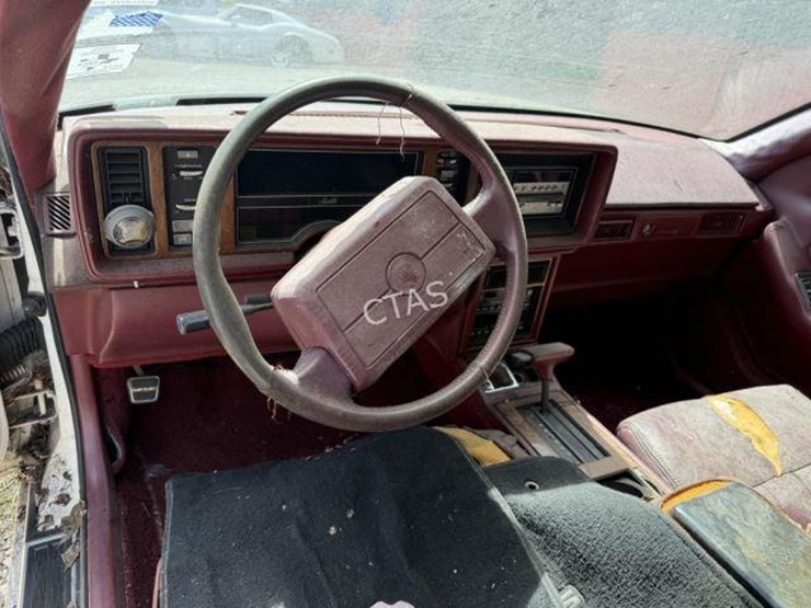 1991-unknown-unknown-image-13