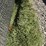 #261-•-15'-roll-of-turf---i-50-image-2