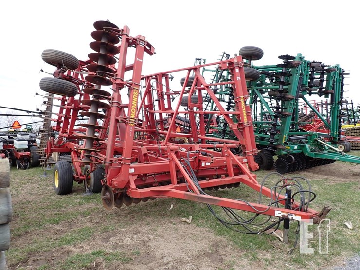 sunflower-6432-27-image-1