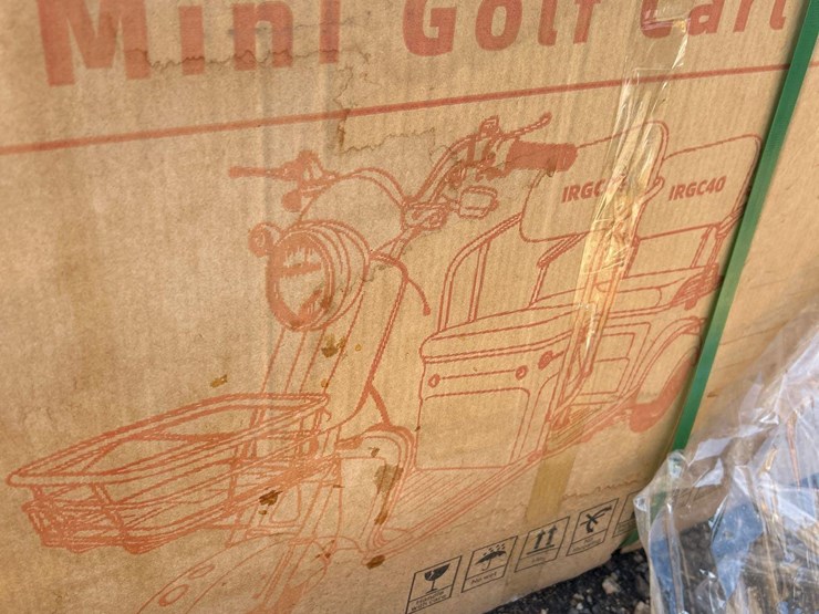 sdlanch-irgc40-high-end-electric-mini-golf-cart-image-2