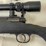savage-rifle-image-16