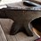 sl---anvils-image-5