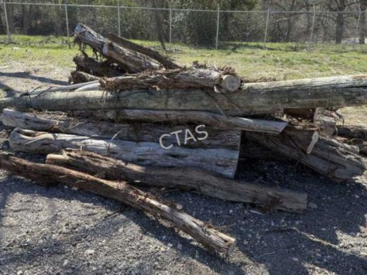 #127-•-bundle-of-tree-limbs-&-electrical-pole-image-1